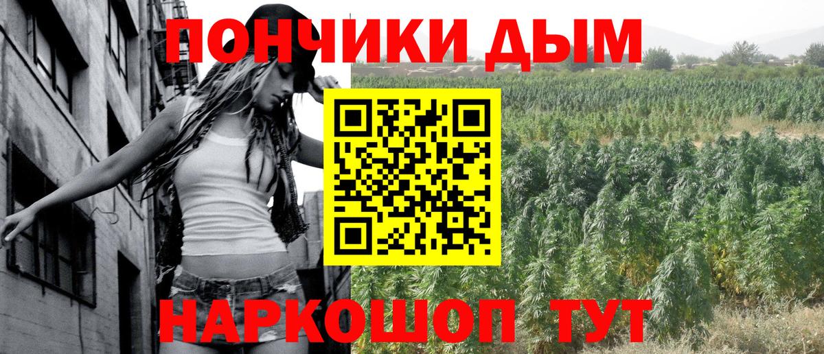 Бошки Шишки SATIVA & INDICA  Бошки Шишки индика  Клин  Вход с VPN 